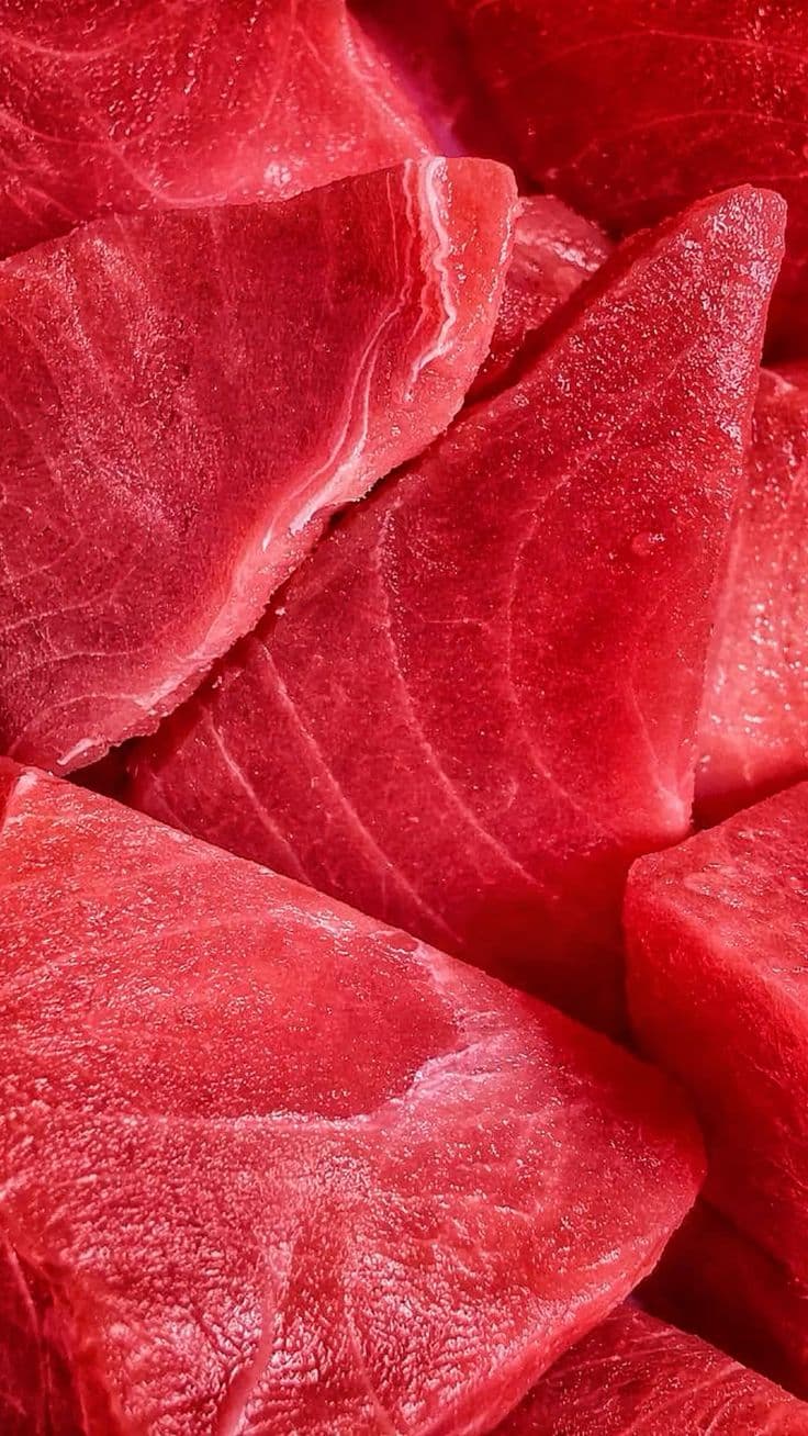 Tuna Meat